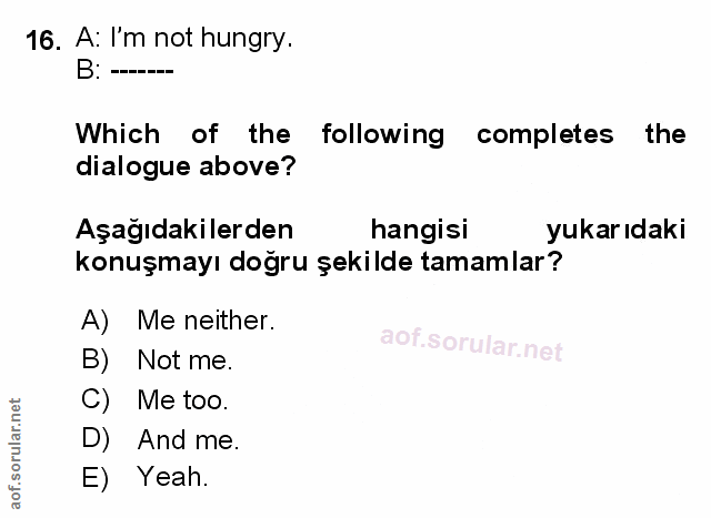 Soru 16