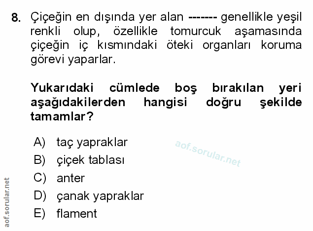Soru 8