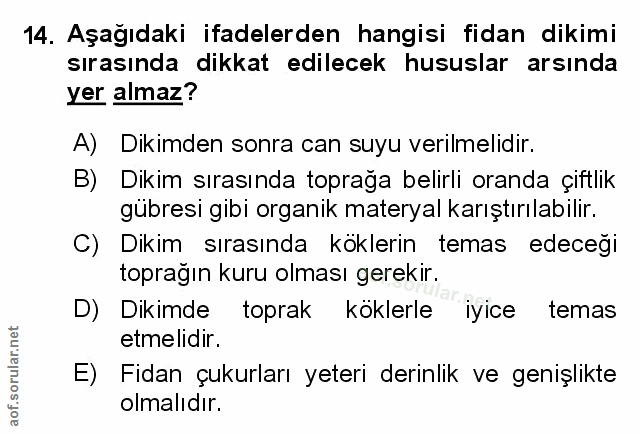 Soru 14