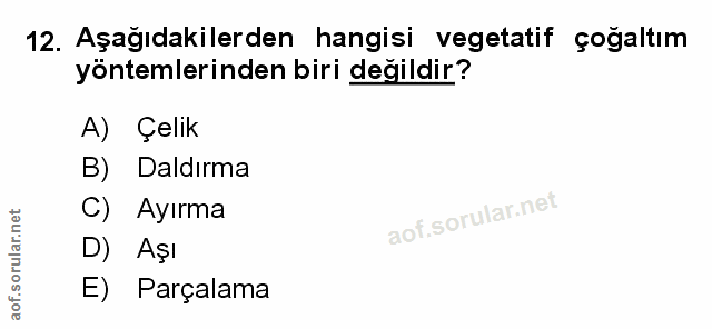 Soru 12