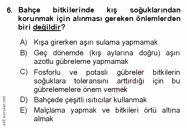 Soru 6