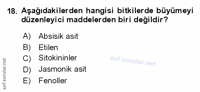 Soru 18