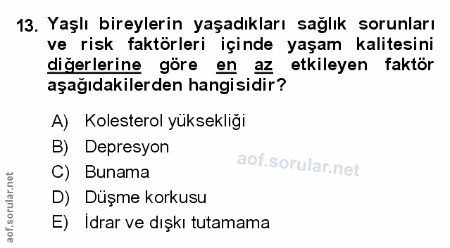 Soru 13