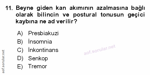 Soru 11