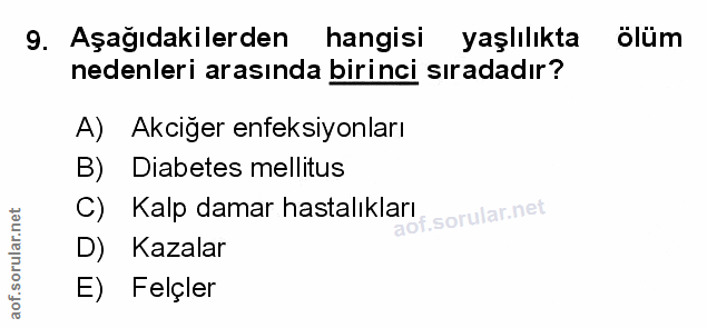 Soru 9
