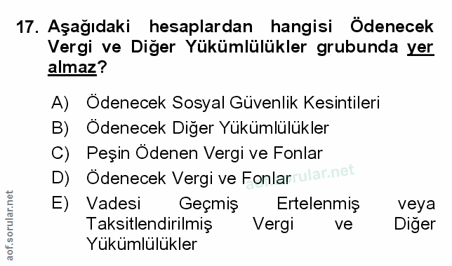Soru 17
