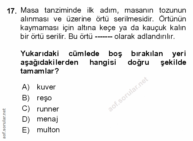 Soru 17