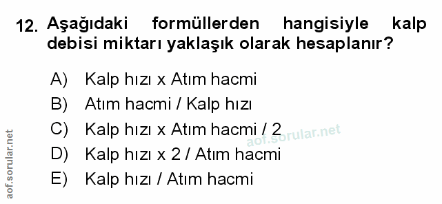 Soru 12