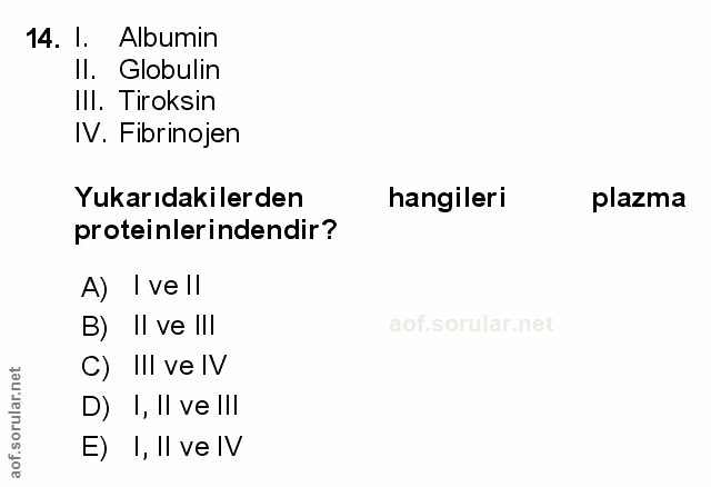 Soru 14