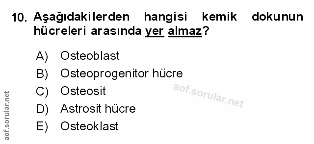 Soru 10