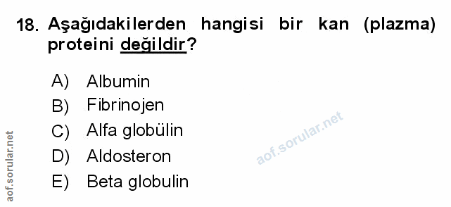Soru 18