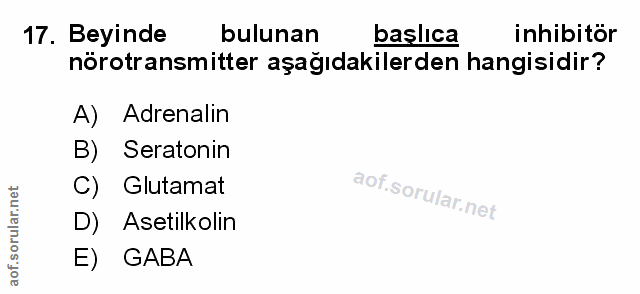 Soru 17