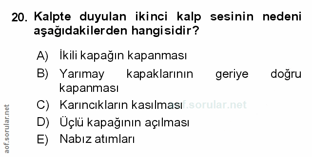 Soru 20