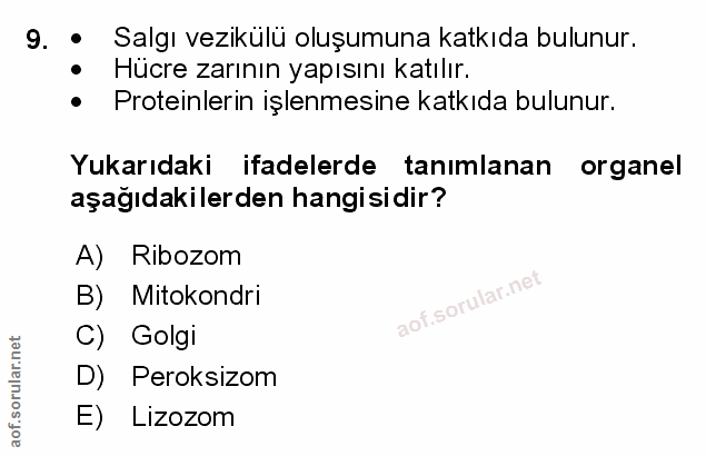 Soru 9