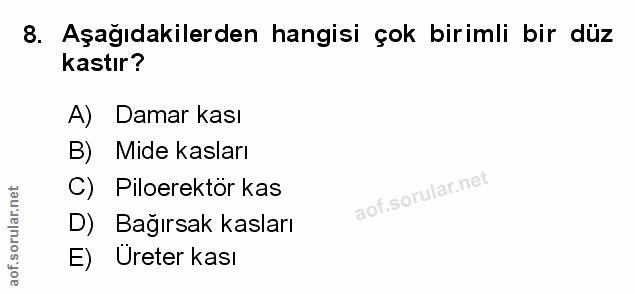 Soru 8