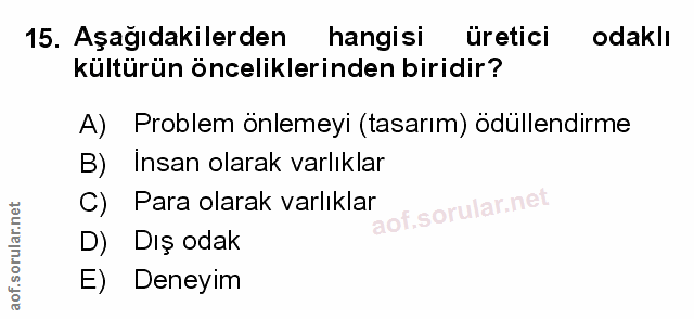 Soru 15