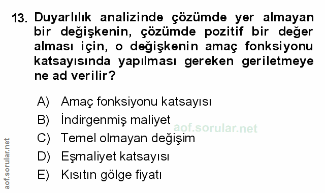 Soru 13