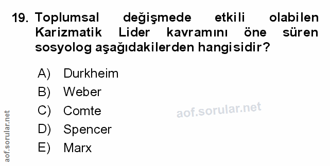 Soru 19