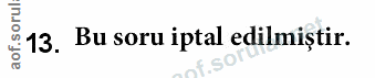 Soru 13