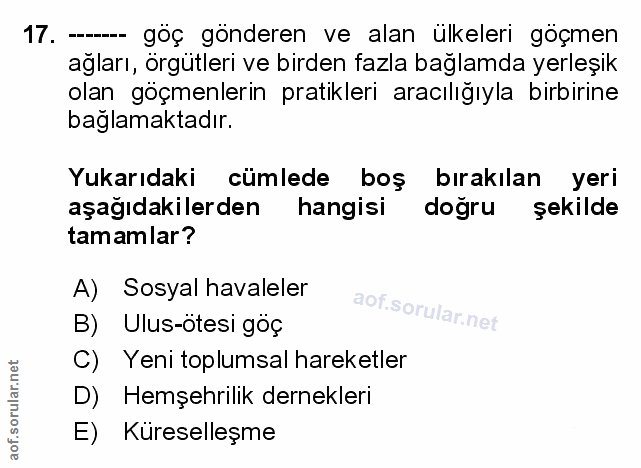 Soru 17