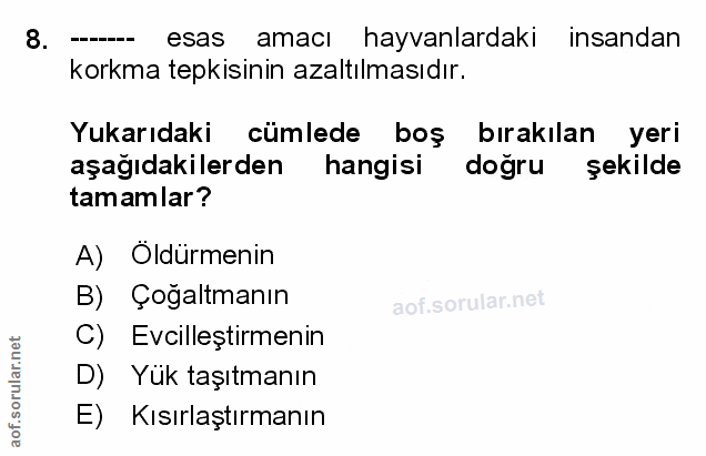 Soru 8