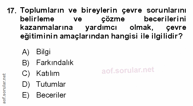 Soru 17