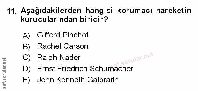 Soru 11