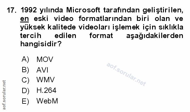 Soru 17