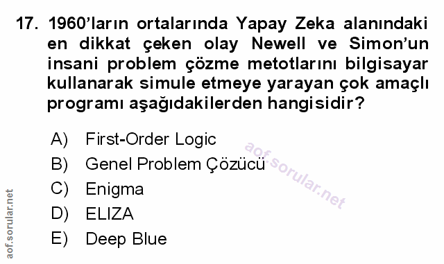 Soru 17