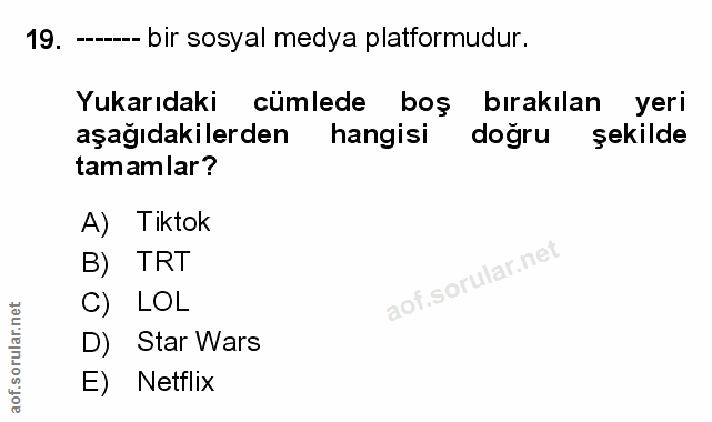 Soru 19