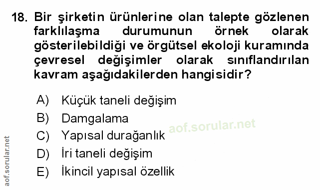 Soru 18