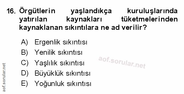 Soru 16