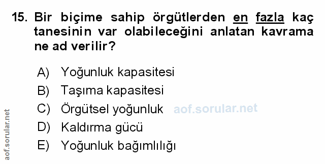 Soru 15
