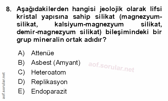 Soru 8