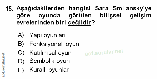 Soru 15