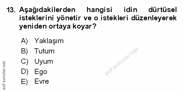 Soru 13