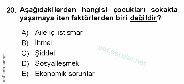 Soru 20