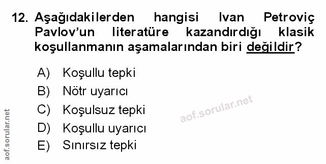 Soru 12