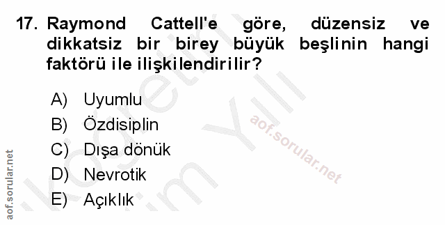Soru 17