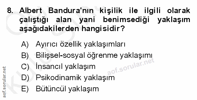 Soru 8