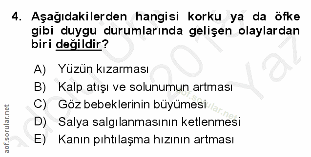 Soru 4