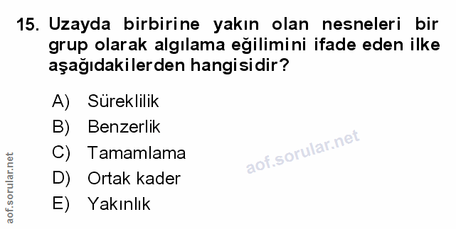 Soru 15