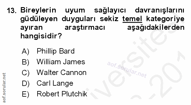 Soru 13