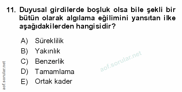 Soru 11