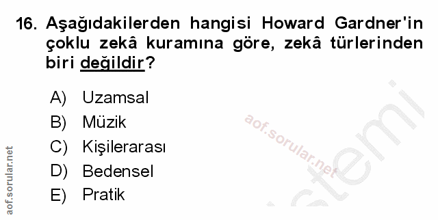 Soru 16