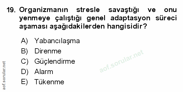 Soru 19