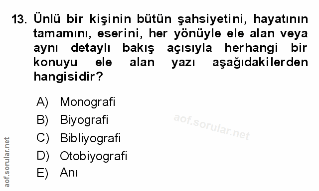 Soru 13