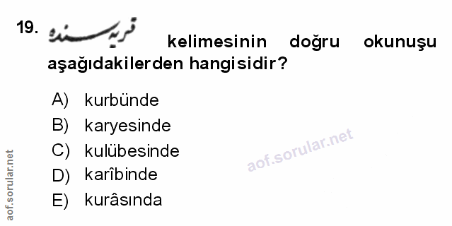 Soru 19