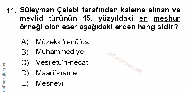 Soru 11