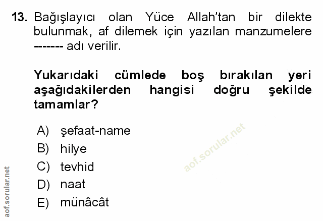Soru 13